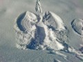Schneeschuhtour Altstädter Hof