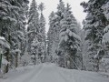 Schneeschuhtour über den Schweizberg