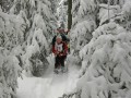 Schneeschuhtour über den Schweizberg