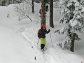 Schneeschuhtour über den Schweizberg