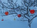Schneeschuhtour über den Schweizberg