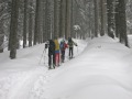 Skitouren Alpe Birkach