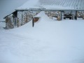 Skitouren Alpe Birkach