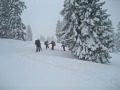 Skitouren Alpe Birkach