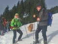 Schneeschuhtour auf der Adelegg