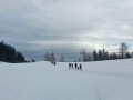 Schneeschuhtour auf der Adelegg