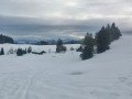 Schneeschuhtour auf der Adelegg