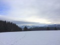 Schneeschuhtour auf der Adelegg