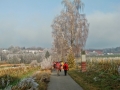 Dreikönigswanderung
