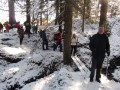 Weg zur Kappeler Alp
