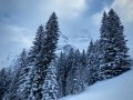 Skitour Gamsfuß