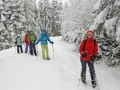Schneeschuhtour über den hauchenberg
