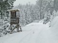 Schneeschuhtour über den hauchenberg