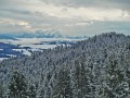 Schneeschuhtour über den hauchenberg