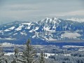 Schneeschuhtour über den hauchenberg