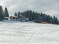 von Steibis zur Alpe Hörmoos