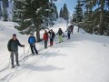 von Steibis zur Alpe Hörmoos