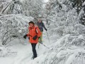 Schneeschuhwanderung rund um Maselheim