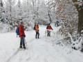 Schneeschuhwanderung rund um Maselheim