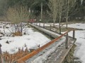 Winterwanderung bei Neutrauchburg