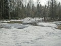 Winterwanderung bei Neutrauchburg