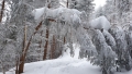 Schneeschuhtour Reuterwanne