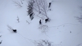 Schneeschuhtour Reuterwanne