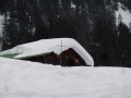 Skitour zum Siplinger Kopf