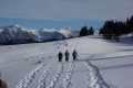 Rückweg über Zwiebelmoos