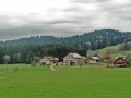 Frühlingswanderung bei Gestratz