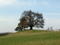 Rundwanderung Ravensburg