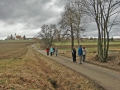 Märzenbecherblüte bei Briel