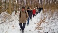 Märzenbecher im Eselsburger Tal