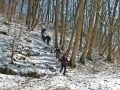 Märzenbecherwanderung Hörvelsingen