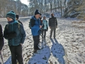 Märzenbecherwanderung Hörvelsingen