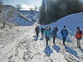 Märzenbecherwanderung Hörvelsingen