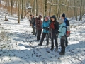 Märzenbecherwanderung Hörvelsingen