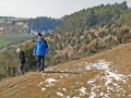 Märzenbecherwanderung Hörvelsingen