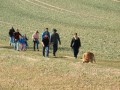 Frühlingswanderung bei Rechtenstein