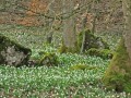 Frühlingswanderung Bad Überkingen