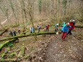 Frühlingswanderung Bad Überkingen