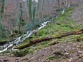 Frühlingswanderung Bad Überkingen