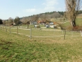 Frühlingswanderung im Brieler Tal