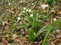 Frühlingswanderung im Brieler Tal