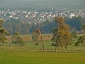 Frühlingswanderung im Brieler Tal