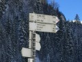 Sederer02