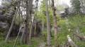 Donau-Felsengarten