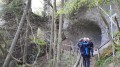 Donau-Felsengarten