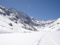 Amberger_03