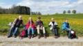 Blütenwanderung Ravensburg